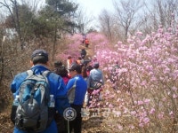 부여군, 봄을 만끽할 수 있는 곳 추천
