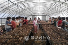 청주시, 그린투어 소비자 체험