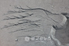 K-water 대청댐, 물과 꽃의 향기