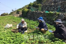 여수시, 현장 영농기술지원단 운영