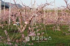 음성군, 농촌 공동체활성화 현장 포럼
