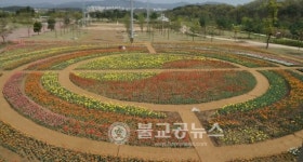 문암생태공원 튤립 화려한 볼거리