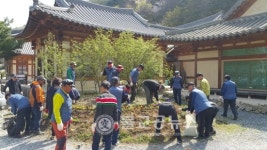 제천 산촌생태마을 가꾸기 운동 추진