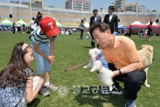 성남시, 반려동물 페스티벌