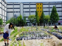 옛 청주연초제조창, 녹색기운 생생