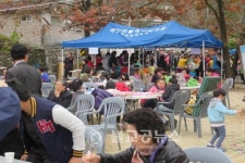 보은군, 하얀민들레생태마을 홑씨 축제