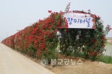 청전동 꽃길 걸어보세요