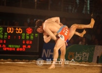 2016 보은, 단오장사씨름대회 열려