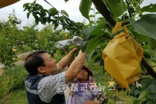 옥천읍사무소 농촌일손돕기 나서