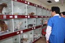 원희룡 지사, 동물보호 봉사 현장 찾아