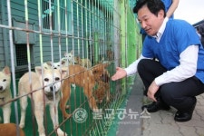 원희룡 지사, 동물보호 봉사 현장 찾아