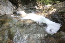 피서지 영동 물한계곡이 딱이네!