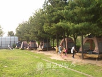 서울숲-양재시민의 숲 캠핑장 운영