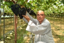 영동군 SNS 홍보단 7월 팸투어