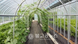 괴산군 농업연구소 연구사업 활성화