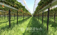 부여군, 선진 농업으로 변화 시도