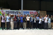 안동와룡농협, 햇살愛 단호박 수출