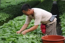 [귀농귀촌]안남면 부부농장