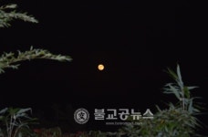 담양 달빛여행 참가자 모집