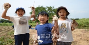 논산 금강대에서 상월명품고구마축제 열려