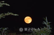 담양 달빛여행 인문학 기행 프로그램 실시