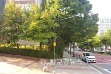 성남지역에 방범용 CCTV 2867대 설치