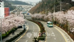 여수시, 산림청 녹색도시 우수사례 공모 선정