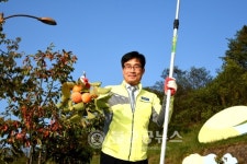 영동군, 감 가로수길 주황빛 물결