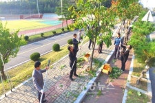 영동군, 감 가로수길 주황빛 물결