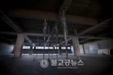 청주시립대청호미술관 프로젝트 공모선정전시