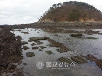 태안 곰섬공동체 전국 1위 대통령상