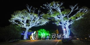 여수시, 1일부터 돌산공원 빛노리야 점등