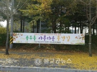 제천시 아름다운 낙엽 거리 지정운영