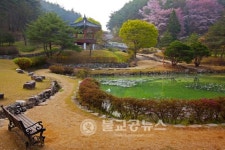 안동시청 사진동호회, 회원사진 전시회