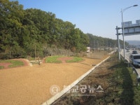 남일면 고은사거리 지역사회 나눔숲 눈길