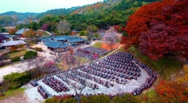 논산청소년상담복지센터, 청소년 문화체험 운영