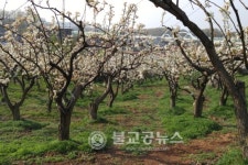 고양시, 친환경농업 재배기술 교육