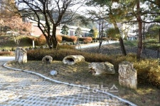 <포토특집>충청북도 미동산수목원