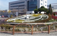 대전역 꽃시계, 겨울에도활짝