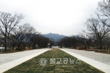서울대공원, 지하철 내리면 걷기 편한숲