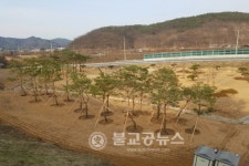 안동시, 주요도로변 가로화단 조성