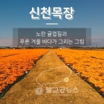 제주 관광 추천 10선 발표