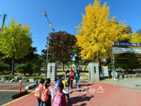 충주시 소태면사무소, 동네달력 인기