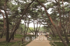 서울시, 테마가 있는 산책길 40곳 선정