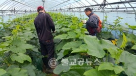 청주, 귀농인 현장실습교육 멘토링 신청!