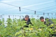 이용우 부여군수, 농가 애로사항 청취