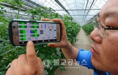 충북농기원 스마트 팜 시범 확산