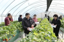 조길형 충주시장, 생산적 일손봉사