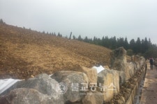 서귀포시, 안덕매립장 녹지공간 조성