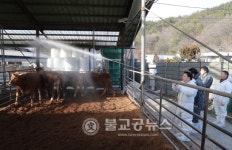 권선택 시장, 봄맞이 시정현안 현장시장실 추진
